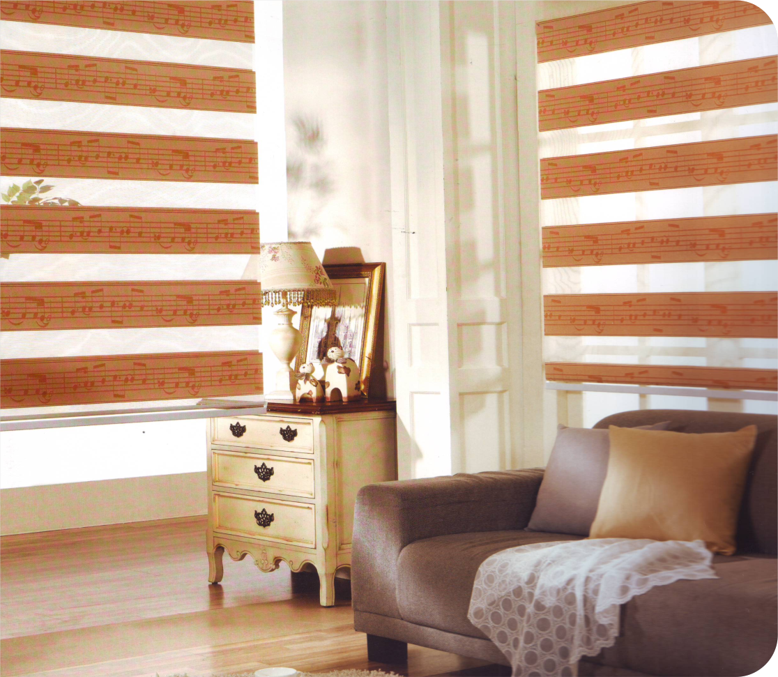 Designer-zebra-blinds