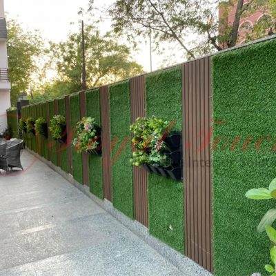 Vertical garden in Delhi