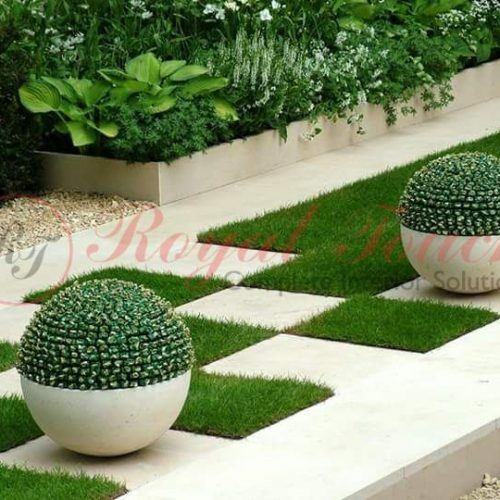 Rooftop garden in delhi